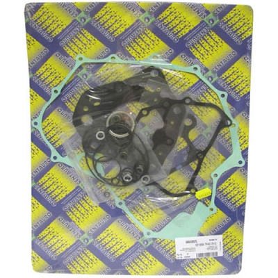 Engine Gasket Set - 010011