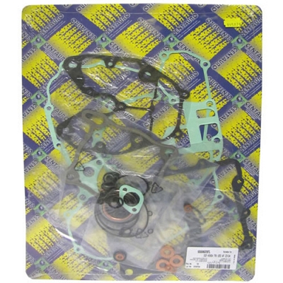 Engine Gasket Set - 010064