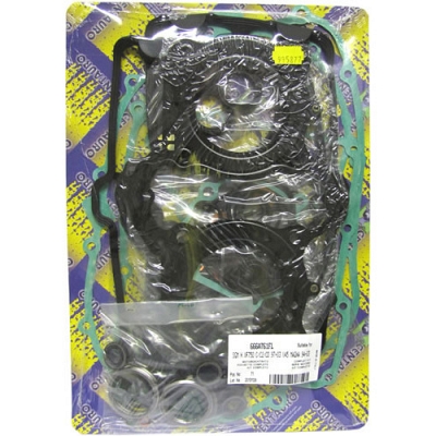Engine Gasket Set - 010072