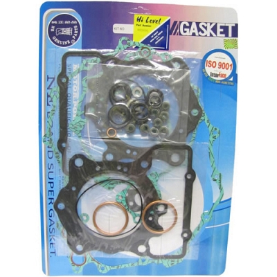 Engine Gasket Set - 010095