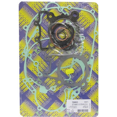 Engine Gasket Set - 010163