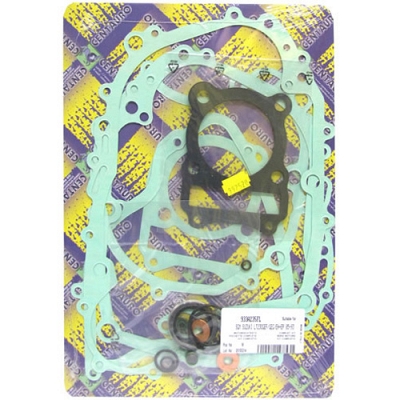 Engine Gasket Set - 010339