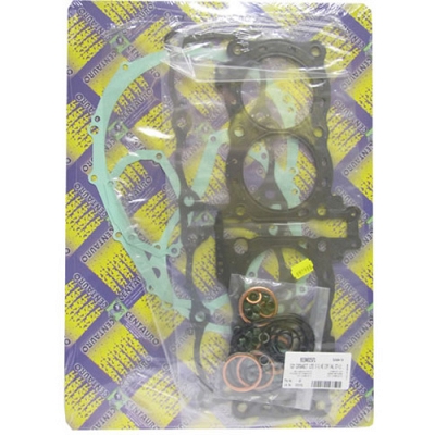 Engine Gasket Set - 010449