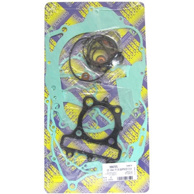 Engine Gasket Set - 010542