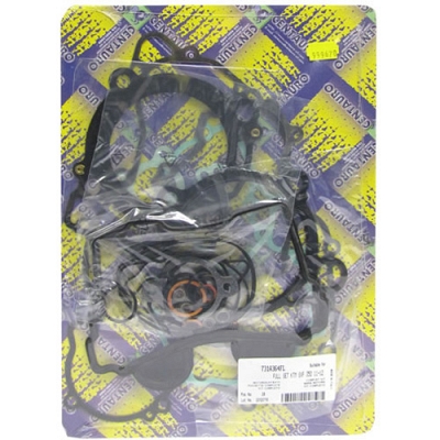 Engine Gasket Set - 010729