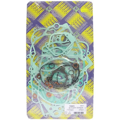 Engine Gasket Set - 010731