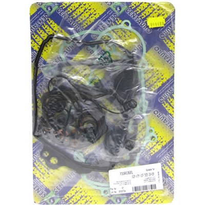 Engine Gasket Set - 010739
