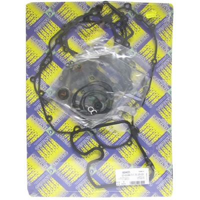 Engine Gasket Set - 010761