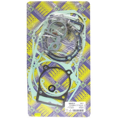Engine Gasket Set - 010771