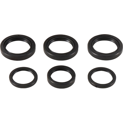WRP 25-2065-5 Differential Seal Kit