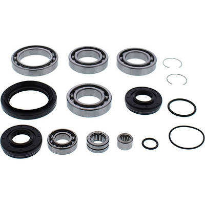 WRP 25-2110 Differential Bearing & Seal Kit