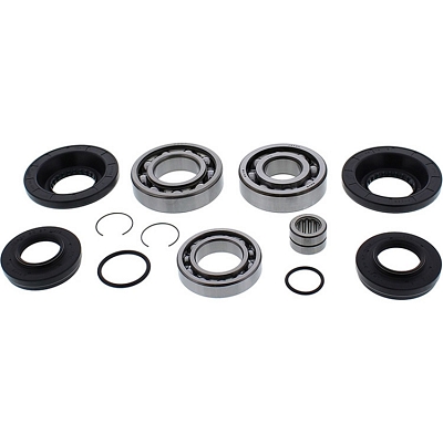 WRP 25-2111 Differential Bearing & Seal Kit