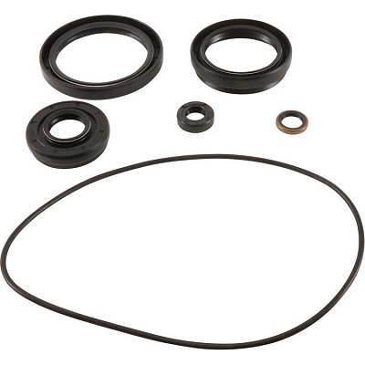 WRP 25-2120-5 Differential Seal Kit