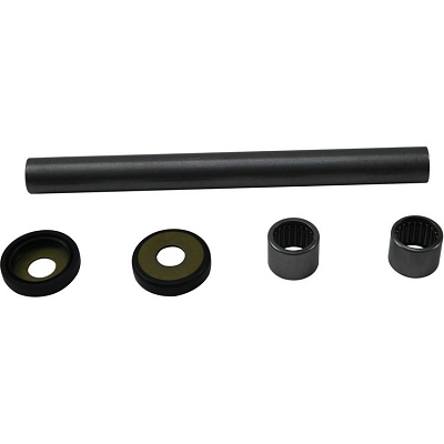 WRP 28-1224 Swing Arm Bearing Kit