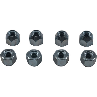 WRP 85-1253 Wheel Nut Kit