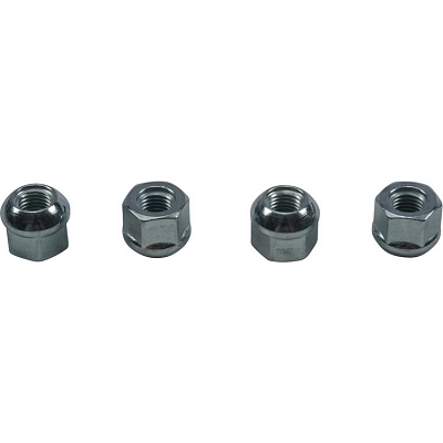 WRP 85-1255 Wheel Nut Kit
