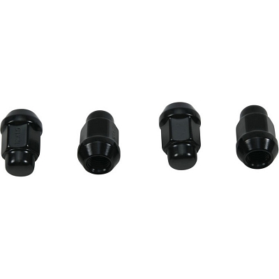 WRP 85-1263 Wheel Nut Kit