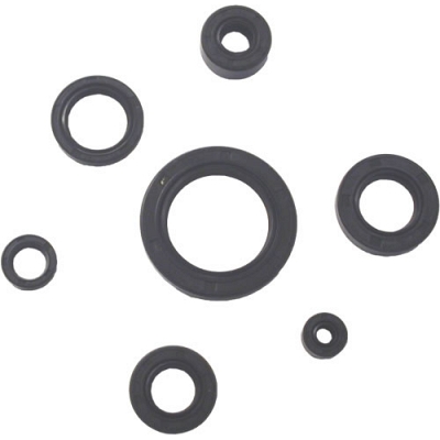 9 Piece Engine Oil Seal Kit