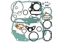Engine Gasket Set - 009838