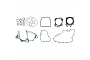 Engine Gasket Set - 010018