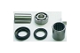 TourMax Swing Arm Bearing, Seal & Collar Kit - 034059