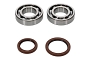 WRP 24-1123 Crank Shaft Bearing & Seal Kit
