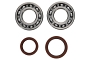 WRP 24-1123 Crank Shaft Bearing & Seal Kit