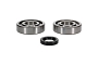 WRP 24-1126 Crank Shaft Bearing & Seal Kit