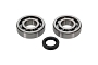 WRP 24-1126 Crank Shaft Bearing & Seal Kit