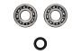 WRP 24-1126 Crank Shaft Bearing & Seal Kit