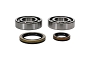 WRP 24-1129 Crank Shaft Bearing & Seal Kit