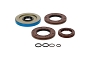WRP 25-2142-5 Transaxle Seal Kit
