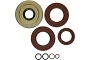 WRP 25-2142-5 Transaxle Seal Kit