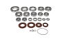 WRP 25-2143 Transaxle Bearing & Seal Kit