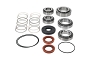 WRP 25-2147 Differential Bearing & Seal Kit