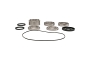 WRP 25-2148 Differential Bearing & Seal Kit