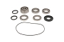 WRP 25-2148 Differential Bearing & Seal Kit