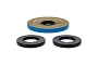 WRP 25-2149-5 Differential Seal Only Kit