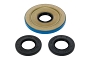 WRP 25-2149-5 Differential Seal Only Kit