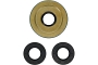 WRP 25-2149-5 Differential Seal Only Kit