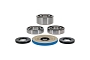 WRP 25-2149 Differential Bearing & Seal Kit