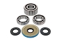 WRP 25-2149 Differential Bearing & Seal Kit