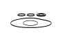 WRP 25-2152-5 Differential Seal Only Kit