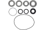 WRP 25-2152 Differential Bearing & Seal Kit