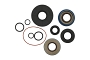 WRP 25-7119 Transmission Seal Kit