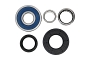 WRP 28-1230 Swing Arm Bearing Kit