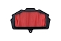 Air Filter Kawasaki 11013-0767