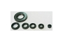 TourMax OSL-102 Engine Oil Seal Kit