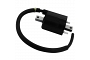 TourMax Ignition Coil Suzuki 33410-38B00 33410-38B01 (Front)