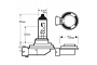 12V 55W H11 Halogen Headlight Bulb